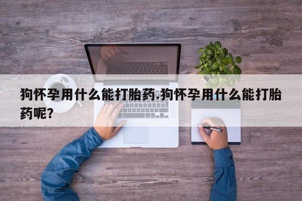 网上卖打胎药微信在线联系方式狗怀孕用什么能打胎药.狗怀孕用什么能打胎药呢？
