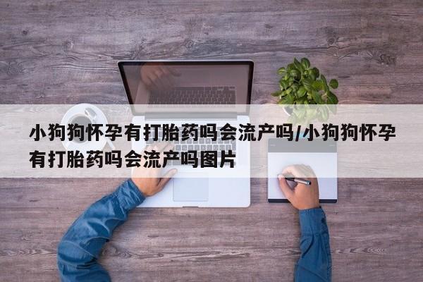 网上卖打胎药微信在线联系方式小狗狗怀孕有打胎药吗会流产吗/小狗狗怀孕有打胎药吗会流产吗图片