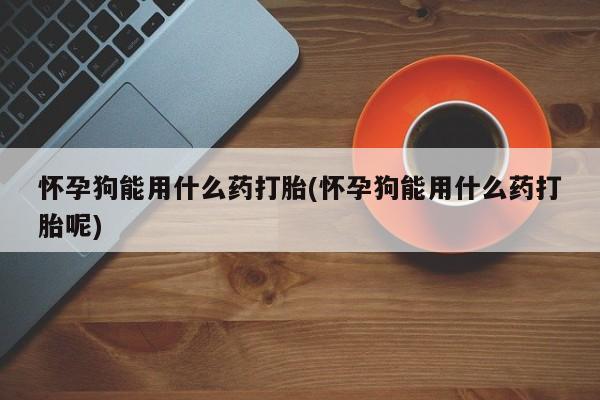 网上卖打胎药微信在线联系方式怀孕狗能用什么药打胎(怀孕狗能用什么药打胎呢)